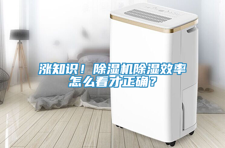 漲知識！榴莲视频官网APP除濕效率怎麽看才正確？