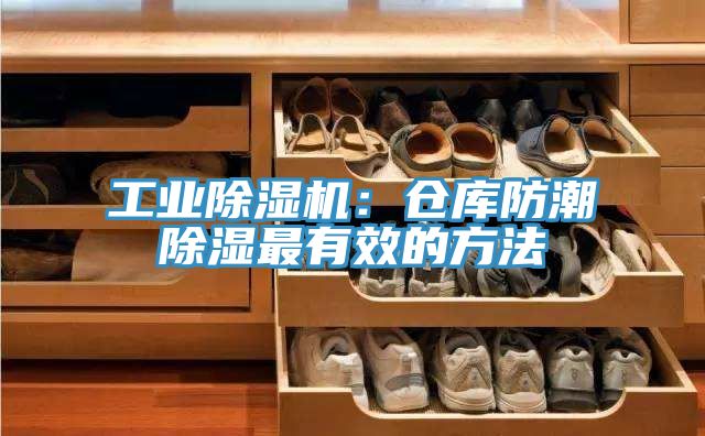 工業榴莲视频官网APP：倉庫防潮除濕最有效的方法