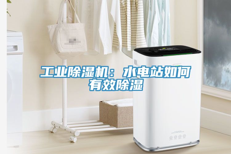 工業榴莲视频官网APP：水電站如何有效除濕