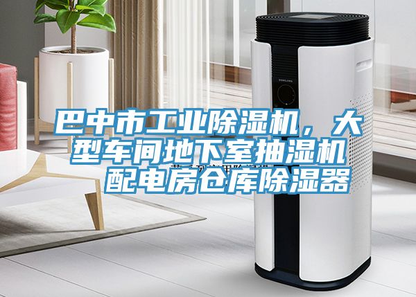 巴中市工業榴莲视频官网APP，大型車間地下室抽濕機  配電房倉庫除濕器