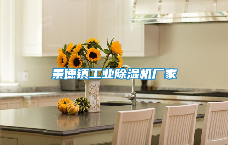 景德鎮工業榴莲视频官网APP廠家