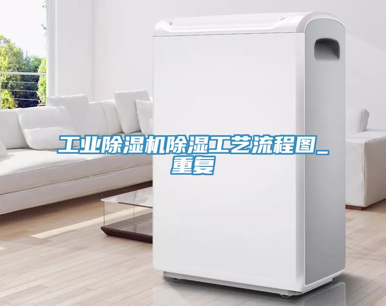 工業榴莲视频官网APP除濕工藝流程圖_重複
