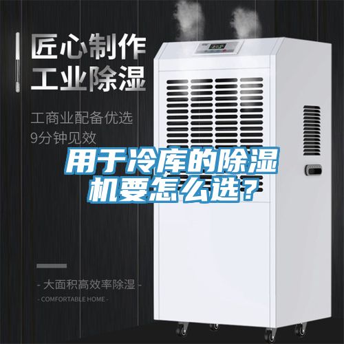 用於冷庫的榴莲视频官网APP要怎麽選？