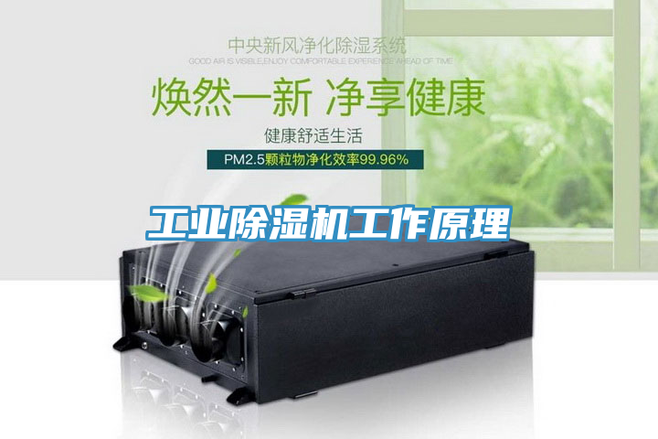 工業榴莲视频官网APP工作原理