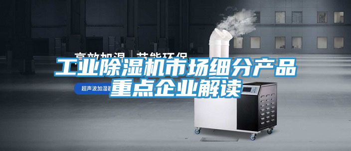 工業榴莲视频官网APP市場細分產品重點企業解讀