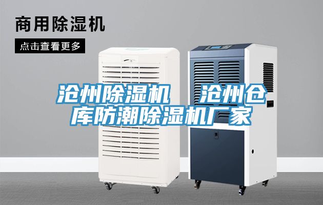 滄州榴莲视频官网APP  滄州倉庫防潮榴莲视频官网APP廠家