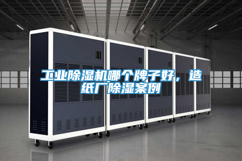 工業榴莲视频官网APP哪個牌子好，造紙廠除濕案例