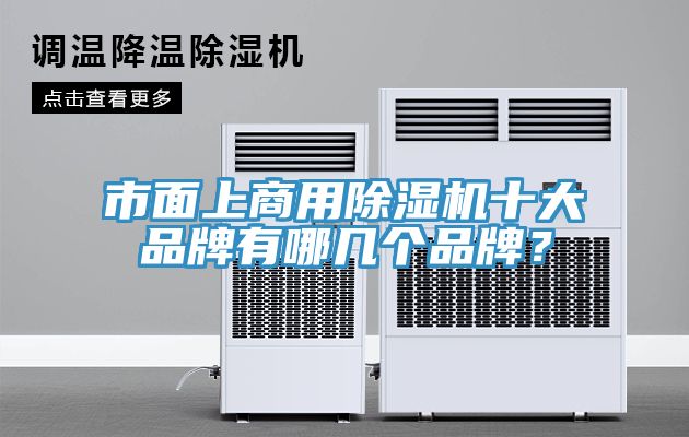 市麵上商用榴莲视频官网APP十大品牌有哪幾個品牌？