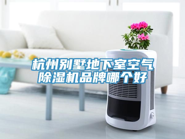 杭州別墅地下室空氣榴莲视频官网APP品牌哪個好