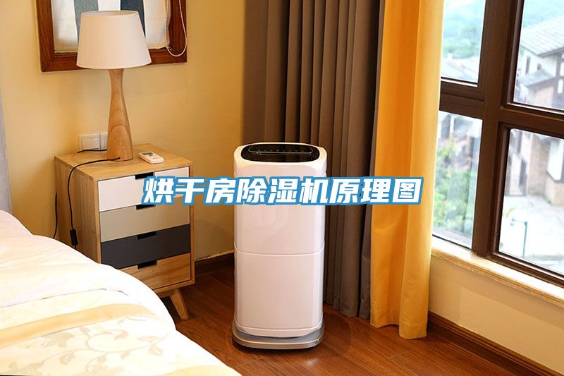 烘幹房榴莲视频官网APP原理圖