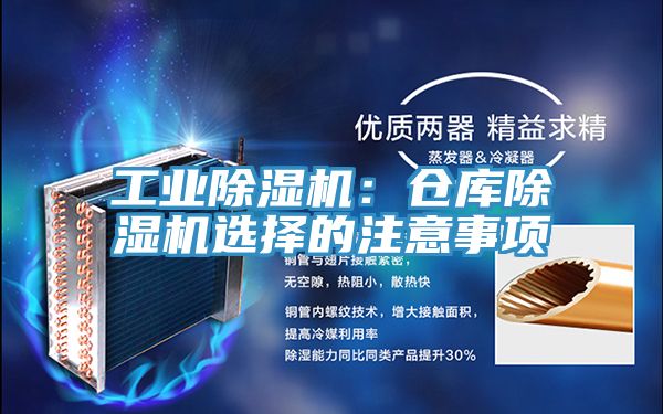 工業榴莲视频官网APP：倉庫榴莲视频官网APP選擇的注意事項