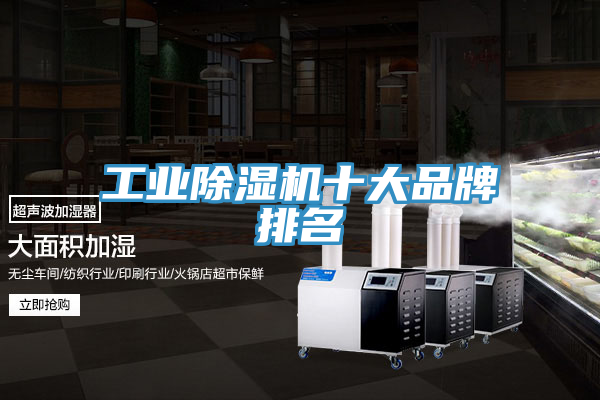 工業榴莲视频官网APP十大品牌排名