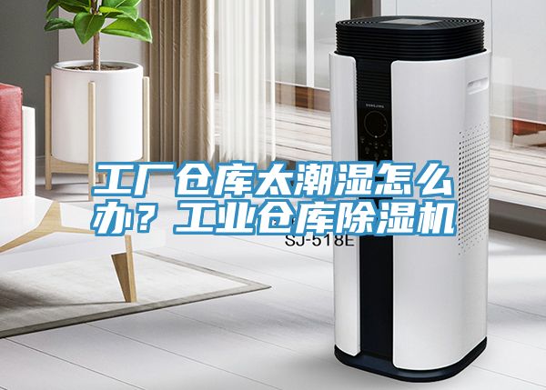 工廠倉庫太潮濕怎麽辦？工業倉庫榴莲视频官网APP