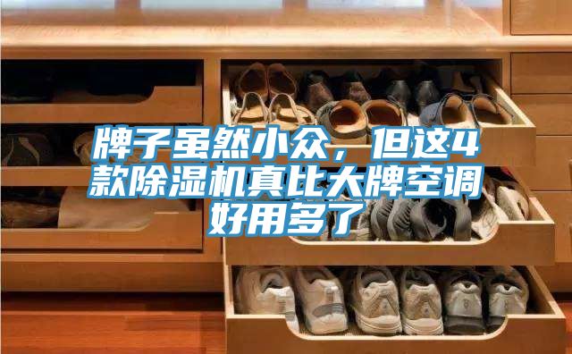 牌子雖然小眾，但這4款榴莲视频官网APP真比大牌空調好用多了