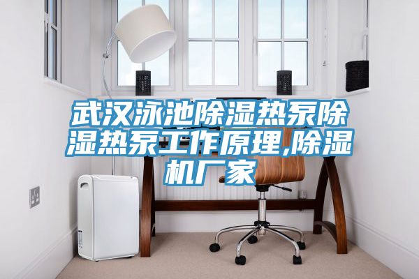 武漢泳池除濕熱泵除濕熱泵工作原理,榴莲视频官网APP廠家