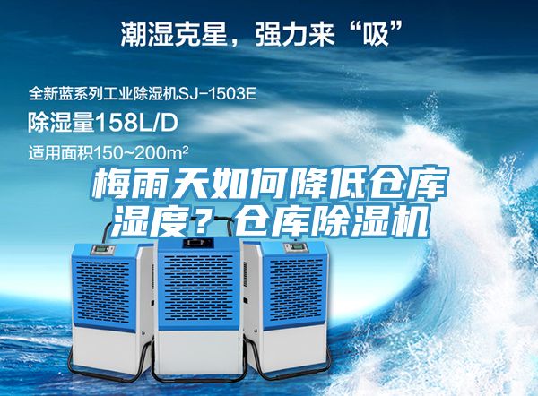 梅雨天如何降低倉庫濕度？倉庫榴莲视频官网APP