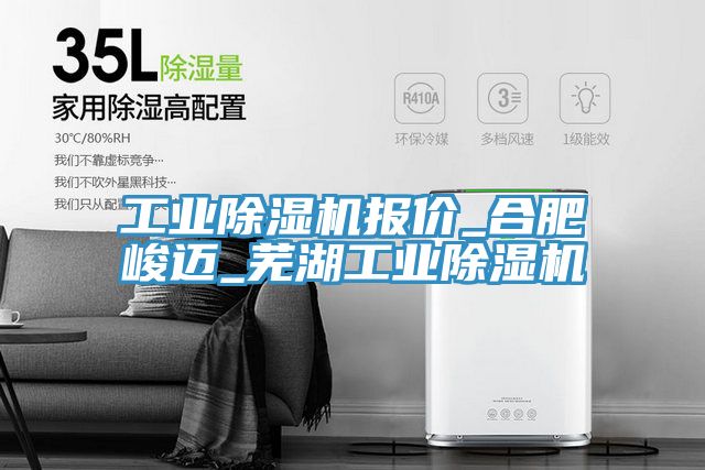 工業榴莲视频官网APP報價_合肥峻邁_蕪湖工業榴莲视频官网APP