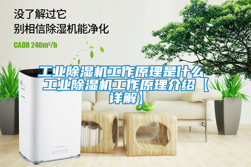 工業榴莲视频官网APP工作原理是什麽 工業榴莲视频官网APP工作原理介紹【詳解】