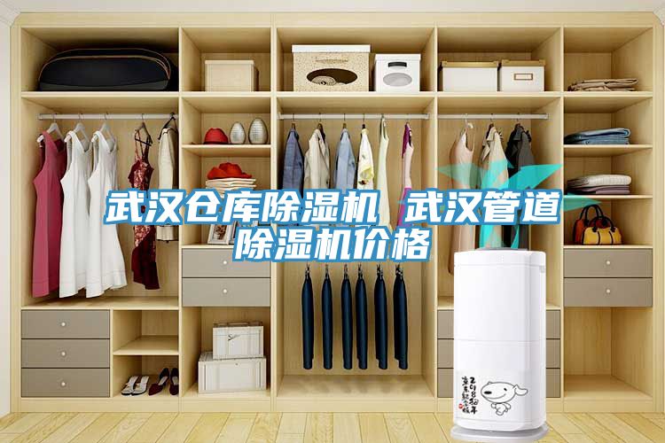 武漢倉庫榴莲视频官网APP 武漢管道榴莲视频官网APP價格