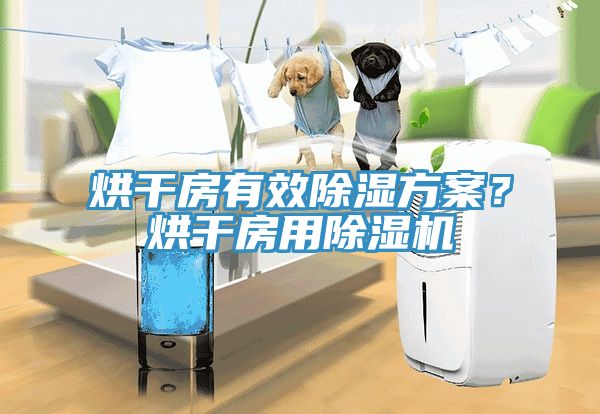 烘幹房有效除濕方案？烘幹房用榴莲视频官网APP