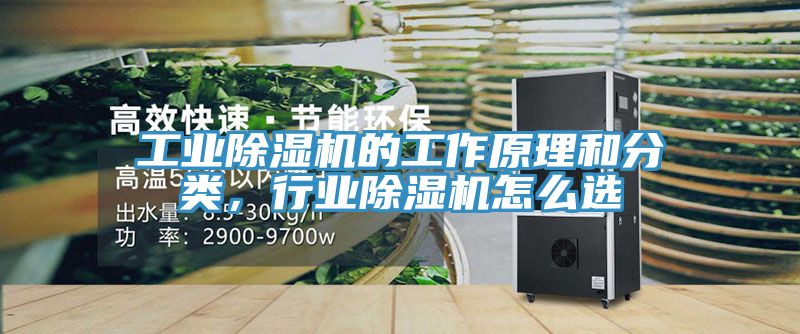 工業榴莲视频官网APP的工作原理和分類，行業榴莲视频官网APP怎麽選