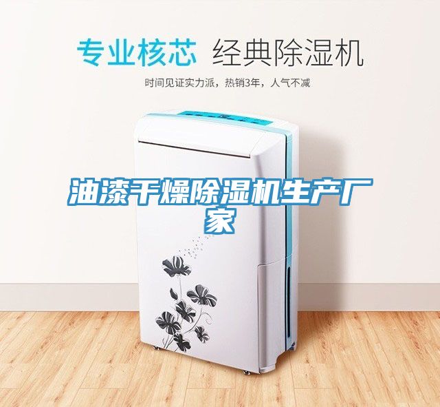 油漆幹燥榴莲视频官网APP生產廠家