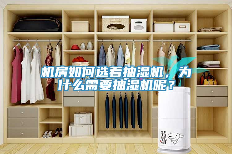 機房如何選著抽濕機，為什麽需要抽濕機呢？