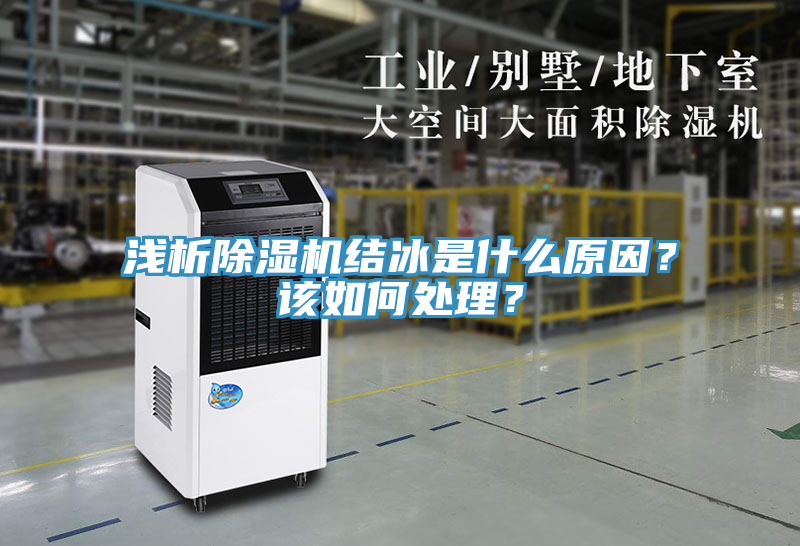 淺析榴莲视频官网APP結冰是什麽原因？該如何處理？