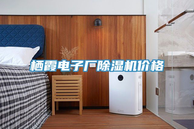 棲霞電子廠榴莲视频官网APP價格