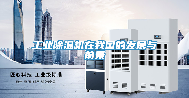 工業榴莲视频官网APP在我國的發展與前景
