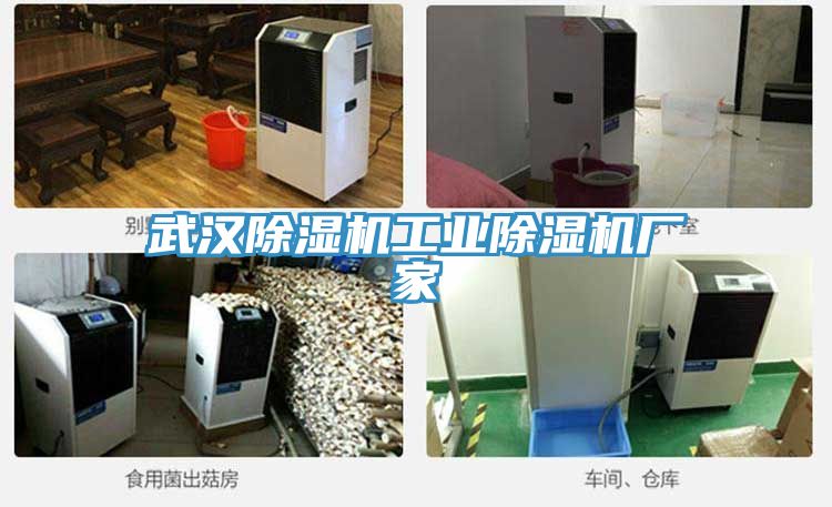 武漢榴莲视频官网APP工業榴莲视频官网APP廠家