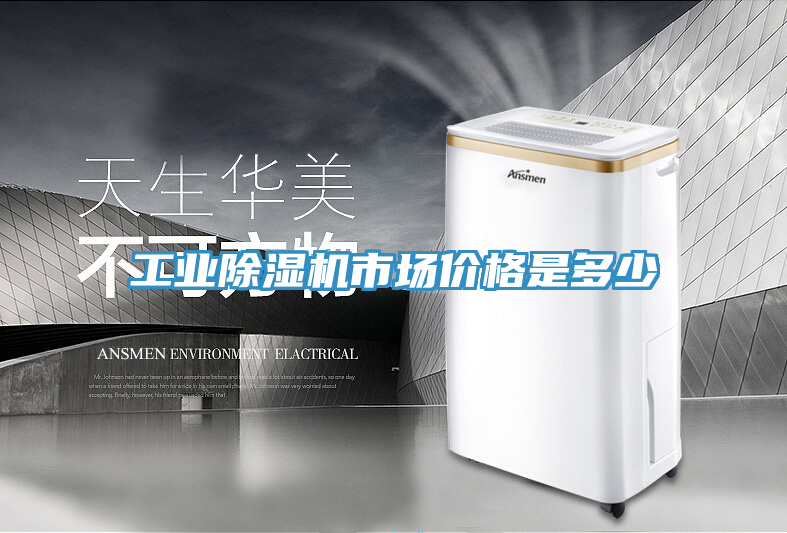 工業榴莲视频官网APP市場價格是多少