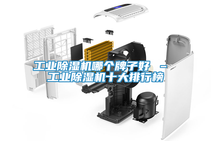 工業榴莲视频官网APP哪個牌子好 – 工業榴莲视频官网APP十大排行榜