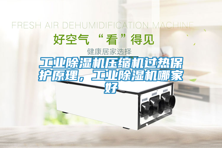 工業榴莲视频官网APP壓縮機過熱保護原理，工業榴莲视频官网APP哪家好