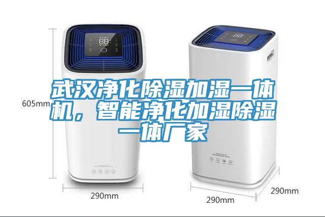 武漢淨化除濕加濕一體機，智能淨化加濕除濕一體廠家