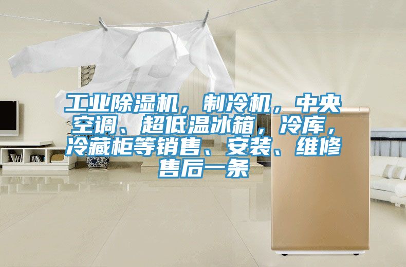 工業榴莲视频官网APP，製冷機，中央空調、超低溫冰箱，冷庫，冷藏櫃等銷售、安裝、維修售後一條