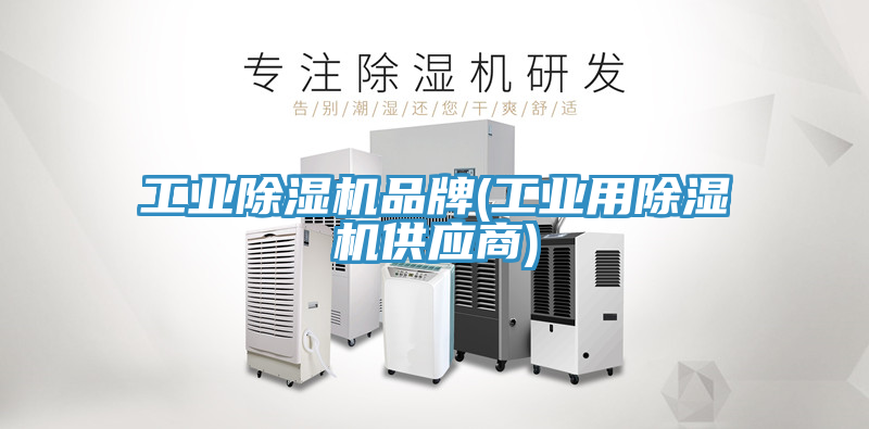 工業榴莲视频官网APP品牌(工業用榴莲视频官网APP供應商)