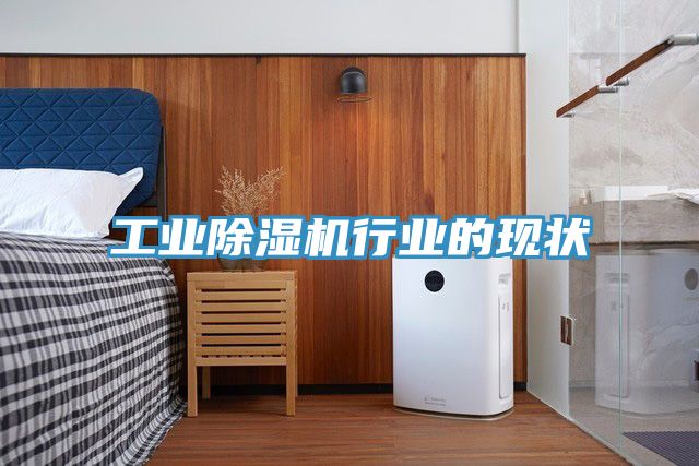 工業榴莲视频官网APP行業的現狀