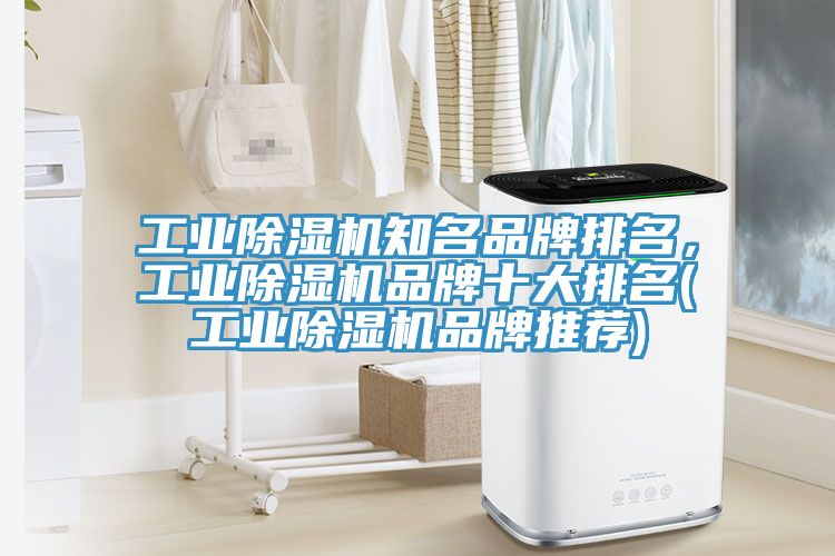工業榴莲视频官网APP知名品牌排名，工業榴莲视频官网APP品牌十大排名(工業榴莲视频官网APP品牌推薦)