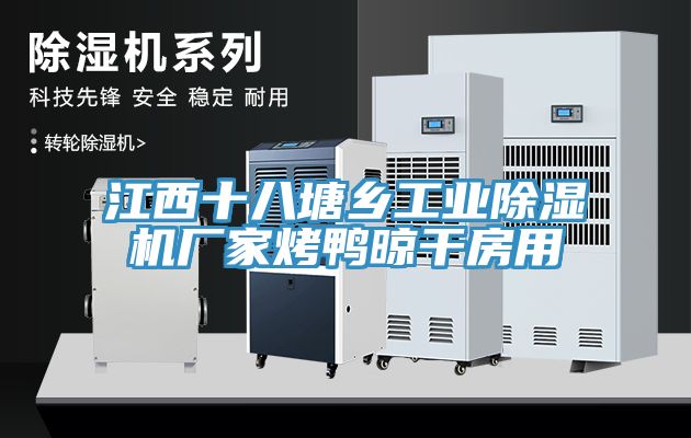 江西十八塘鄉工業榴莲视频官网APP廠家烤鴨晾幹房用