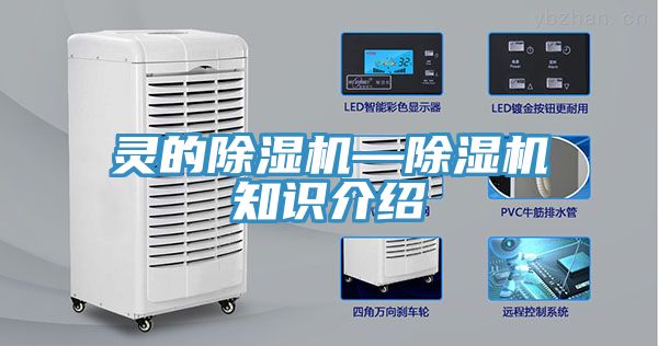 靈的榴莲视频官网APP—榴莲视频官网APP知識介紹