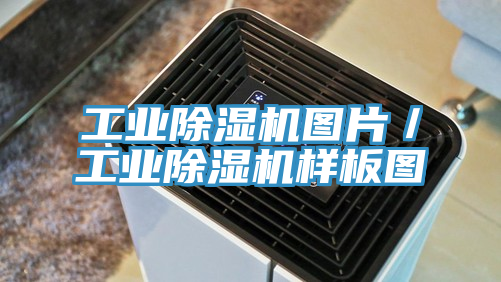 工業榴莲视频官网APP圖片／工業榴莲视频官网APP樣板圖
