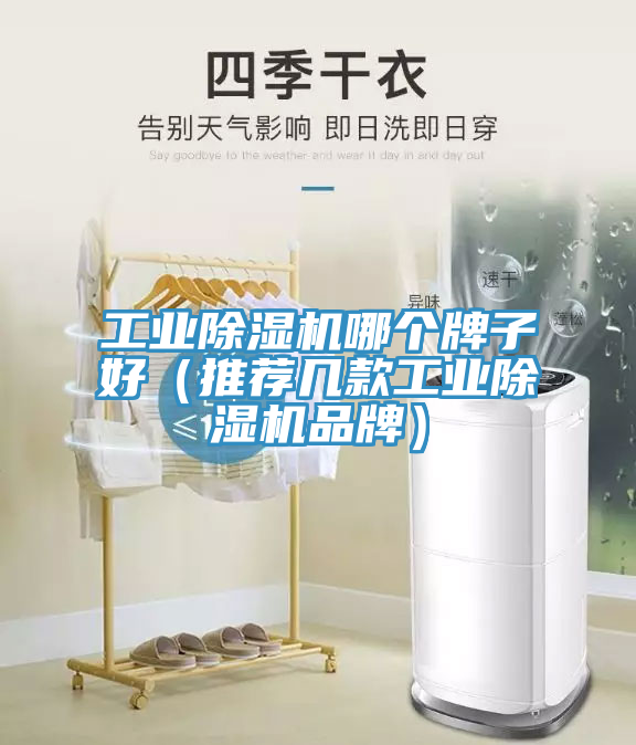 工業榴莲视频官网APP哪個牌子好（推薦幾款工業榴莲视频官网APP品牌）