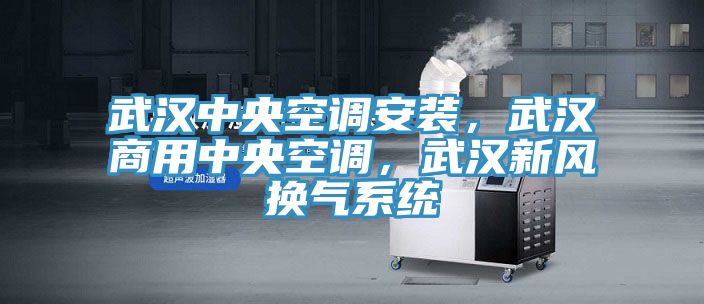 武漢中央空調安裝，武漢商用中央空調，武漢新風換氣係統