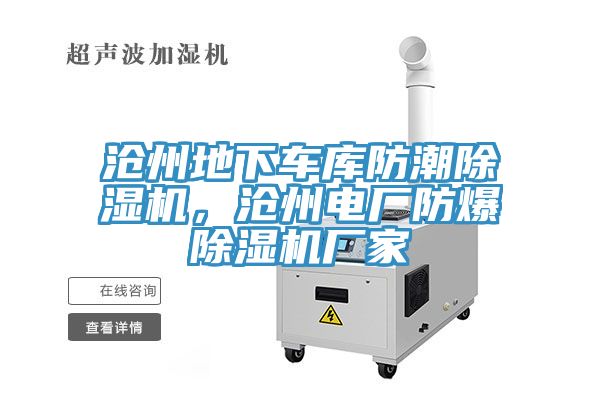滄州地下車庫防潮榴莲视频官网APP，滄州電廠防爆榴莲视频官网APP廠家