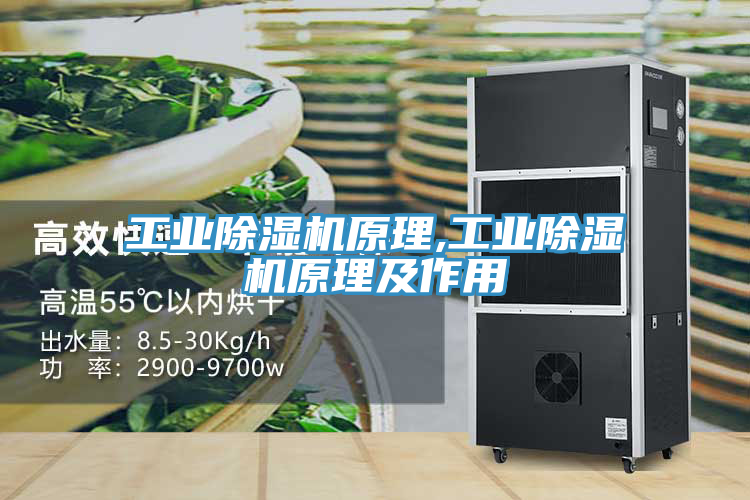 工業榴莲视频官网APP原理,工業榴莲视频官网APP原理及作用