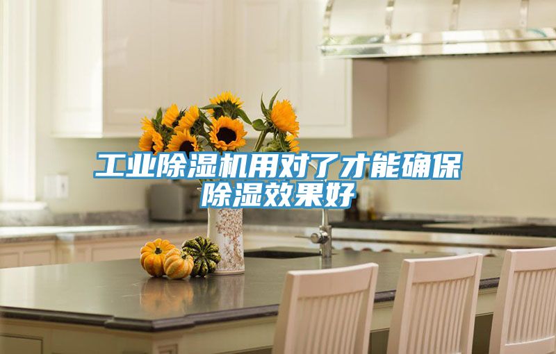 工業榴莲视频官网APP用對了才能確保除濕效果好