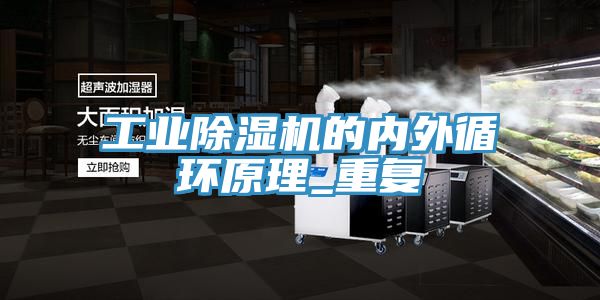工業榴莲视频官网APP的內外循環原理_重複