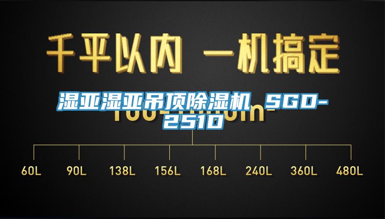 濕亞濕亞吊頂榴莲视频官网APP SGD-251D