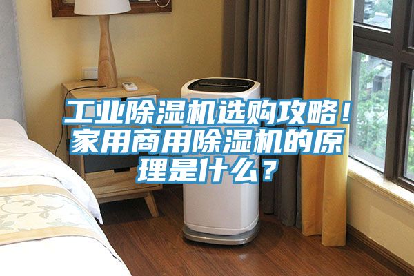 工業榴莲视频官网APP選購攻略！家用商用榴莲视频官网APP的原理是什麽？